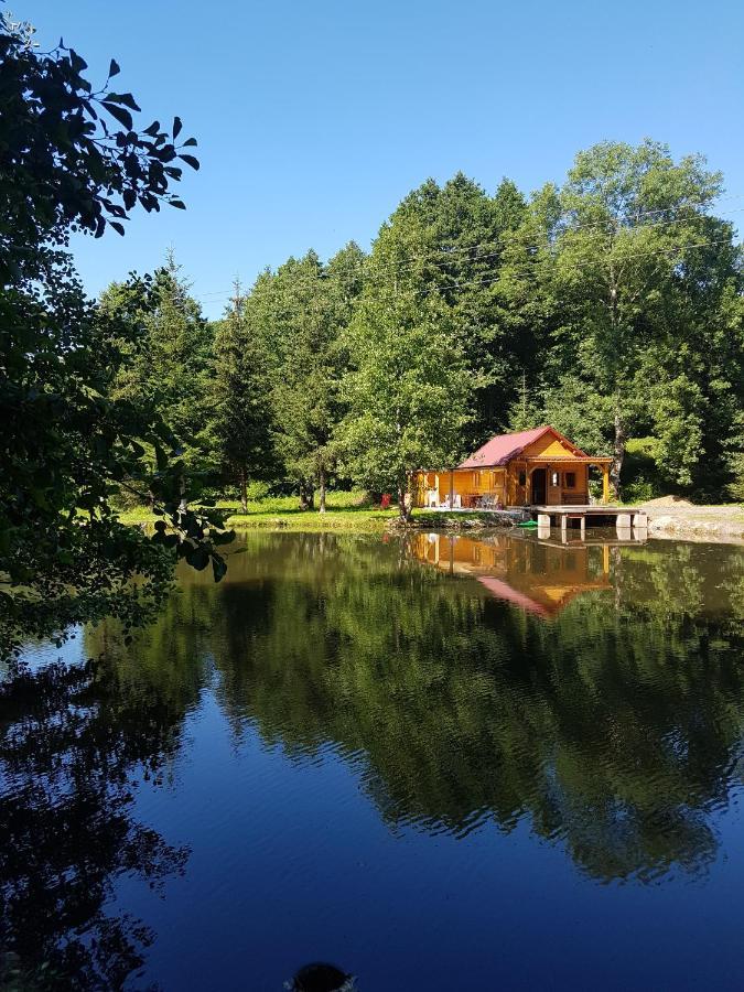 Insolite Chalet De Peche Serenite - Bien Etre Ban-sur-Meurthe-Clefcy Exterior foto