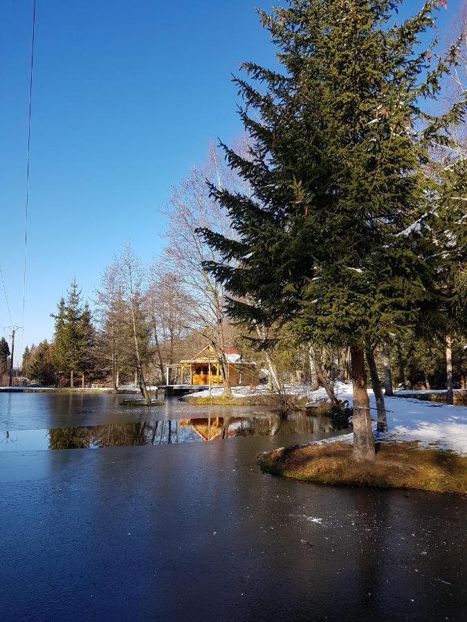 Insolite Chalet De Peche Serenite - Bien Etre Ban-sur-Meurthe-Clefcy Exterior foto