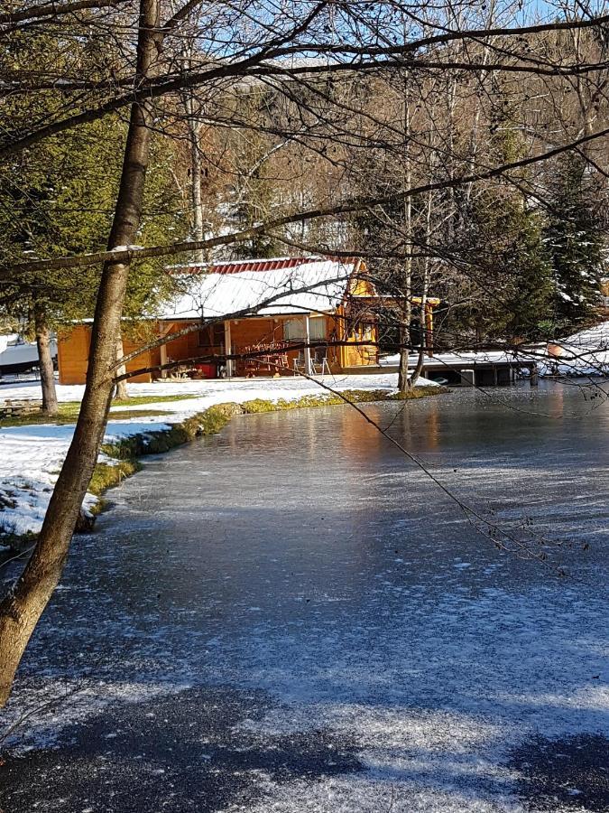 Insolite Chalet De Peche Serenite - Bien Etre Ban-sur-Meurthe-Clefcy Exterior foto