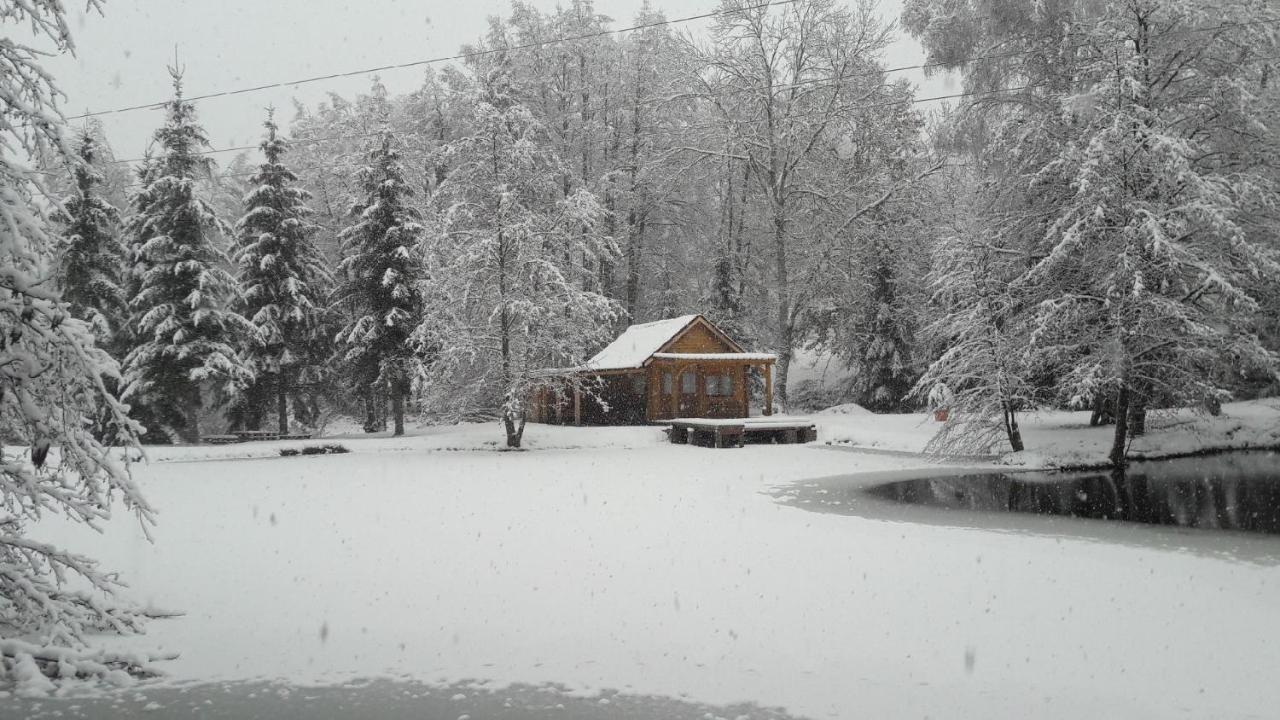 Insolite Chalet De Peche Serenite - Bien Etre Ban-sur-Meurthe-Clefcy Exterior foto