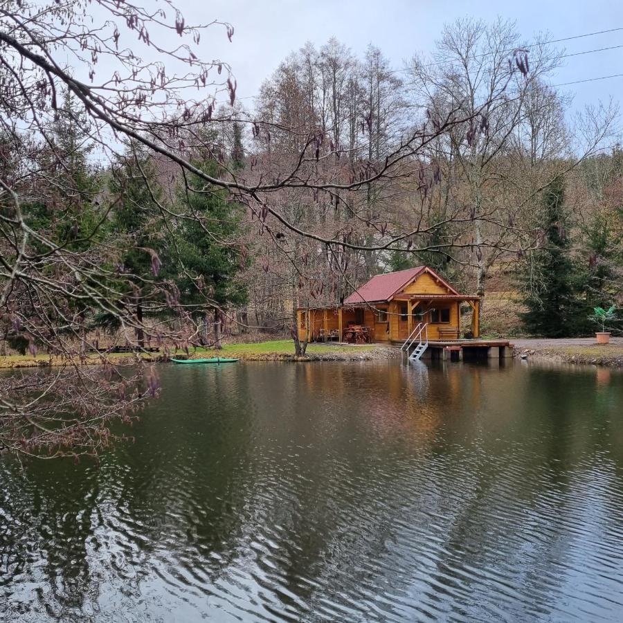 Insolite Chalet De Peche Serenite - Bien Etre Ban-sur-Meurthe-Clefcy Exterior foto