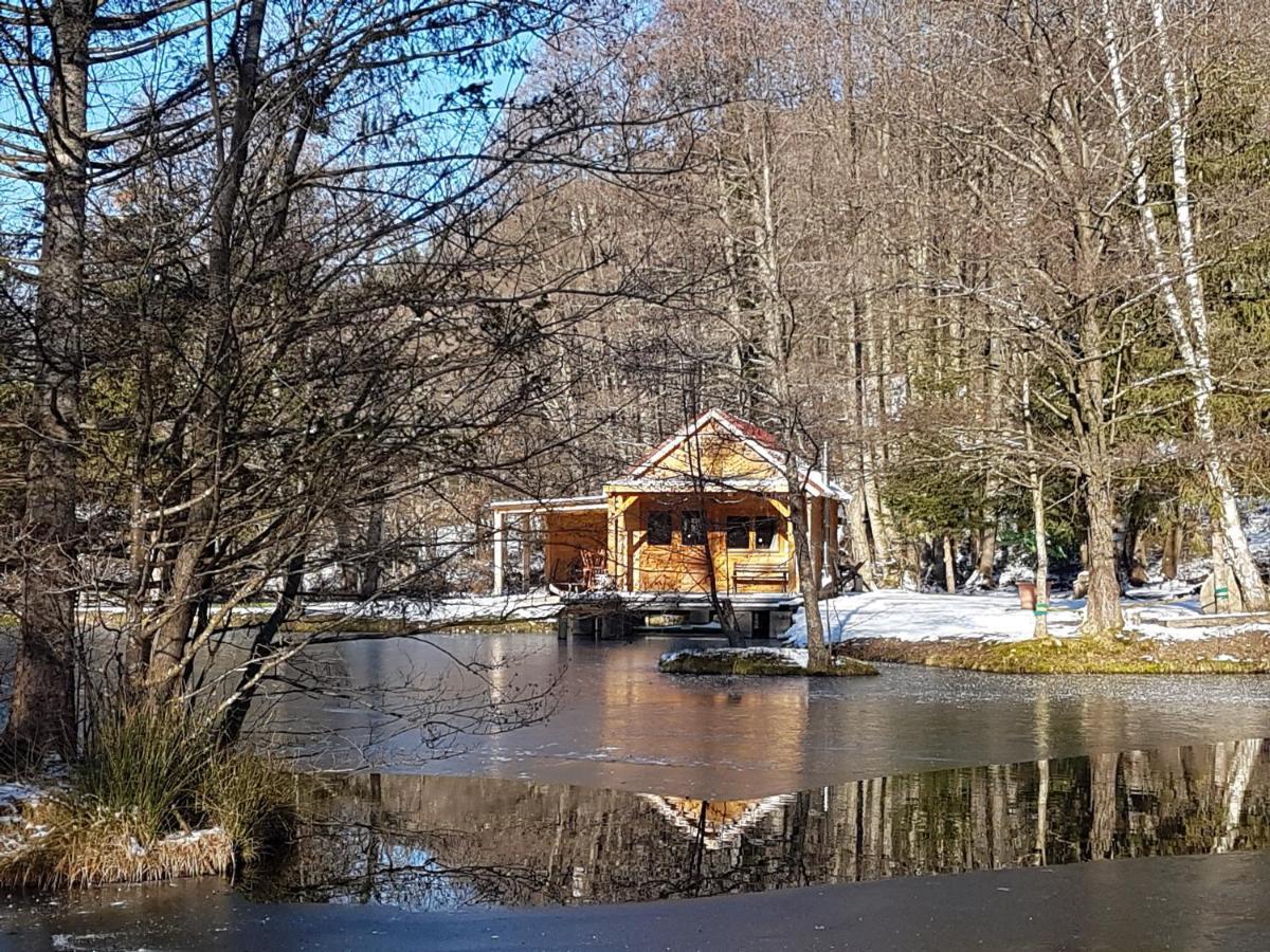 Insolite Chalet De Peche Serenite - Bien Etre Ban-sur-Meurthe-Clefcy Exterior foto