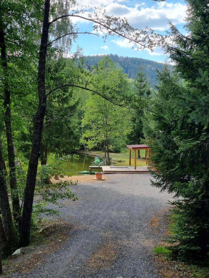 Insolite Chalet De Peche Serenite - Bien Etre Ban-sur-Meurthe-Clefcy Exterior foto